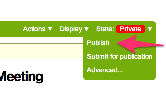 screenshot of publish button